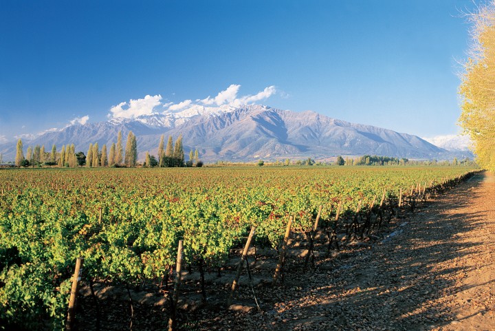 Mendoza - Argentina 10 of the best wine regions you have probably never heard of - THE FLASH PACK
