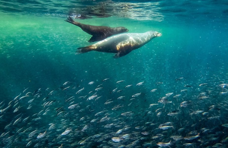 Discover nature’s wildest frontier in the Galapagos | Flash Pack