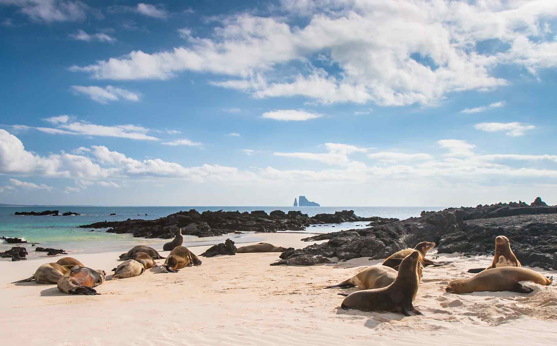 Discover nature’s wildest frontier in the Galapagos | Flash Pack