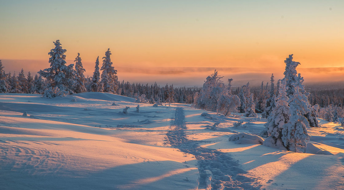 Winter Finland: Northern Lights & Huskies | Finland Trip | Flash Pack